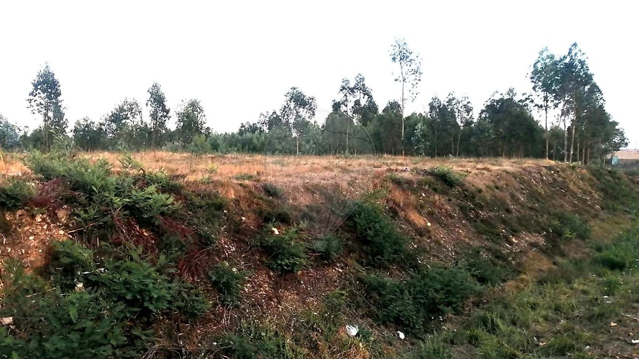 Terreno para Venda em Barreiro de Besteiros e Tourigo Foto 4