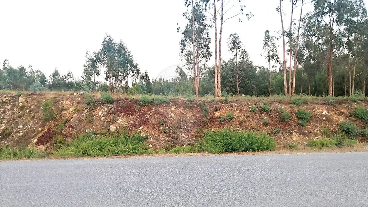 Terreno para Venda em Barreiro de Besteiros e Tourigo Foto 8