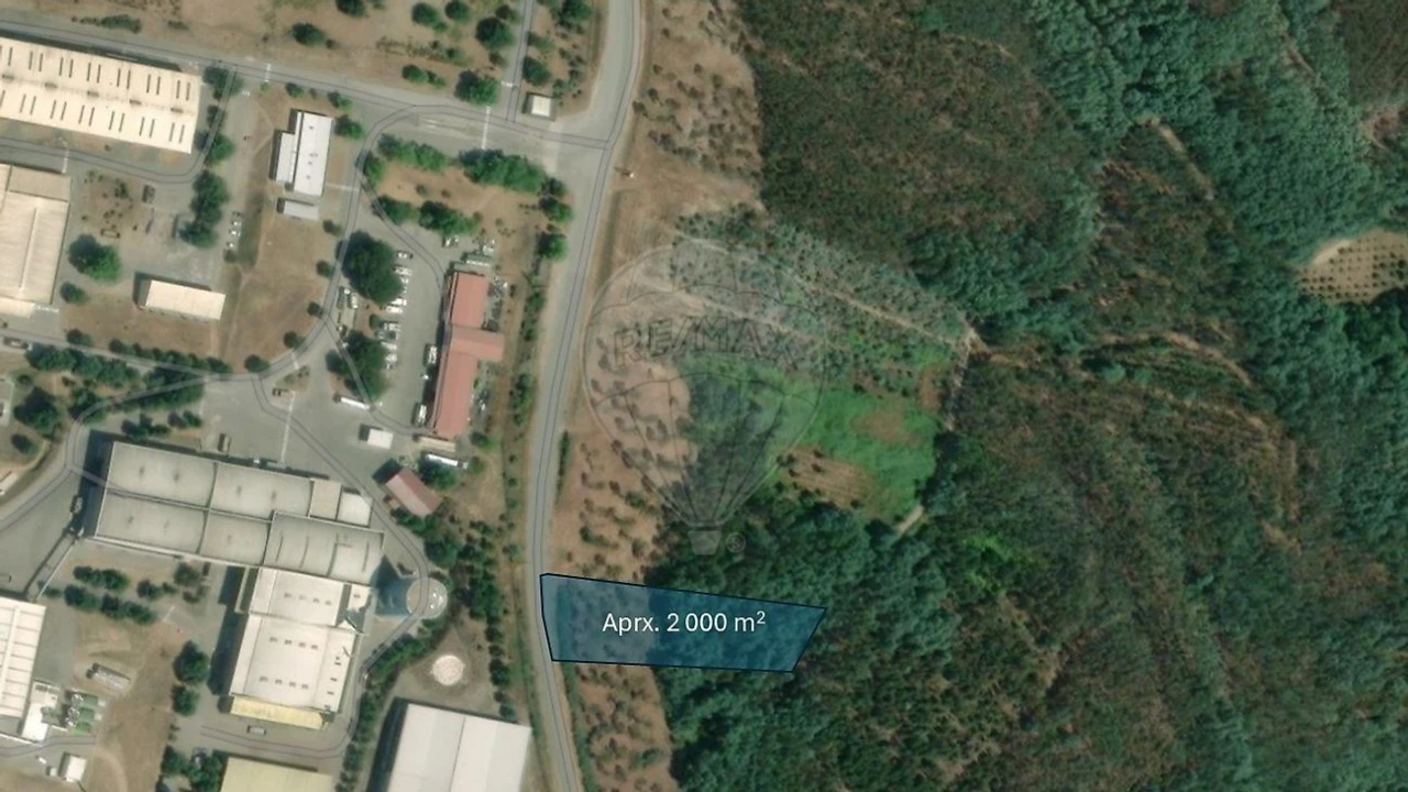 Terreno para Venda em Barreiro de Besteiros e Tourigo Foto 9