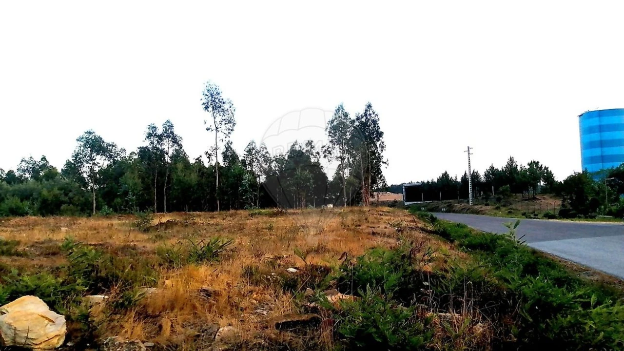 Terreno para Venda em Barreiro de Besteiros e Tourigo Foto 4