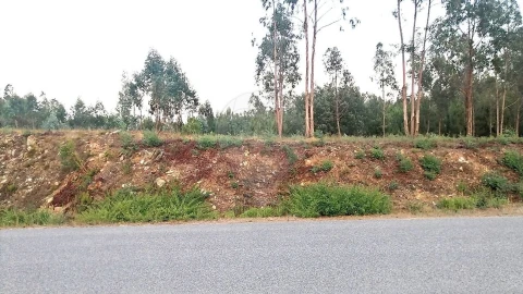 Terreno para Venda em Barreiro de Besteiros e Tourigo