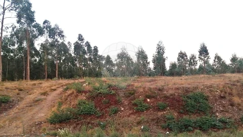 Terreno para Venda em Barreiro de Besteiros e Tourigo
