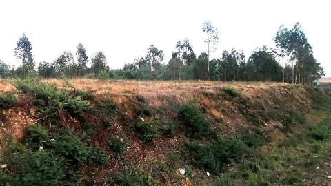 Terreno para Venda em Barreiro de Besteiros e Tourigo