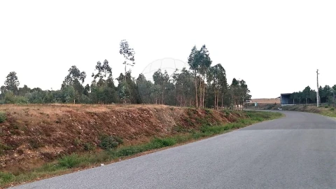 Terreno para Venda em Barreiro de Besteiros e Tourigo