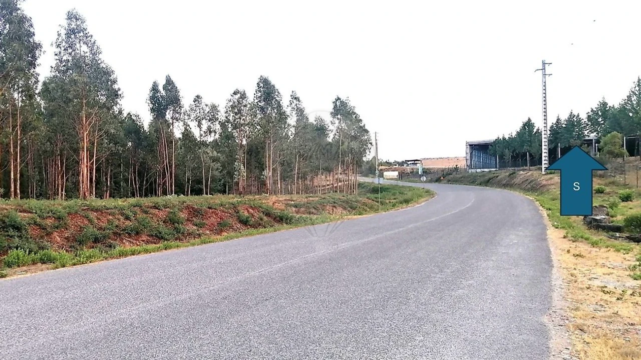 Terreno para Venda em Barreiro de Besteiros e Tourigo Foto 2