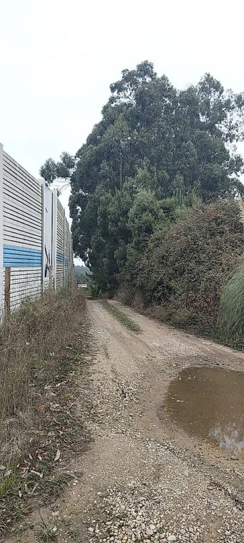 Terreno para Venda em Espinho