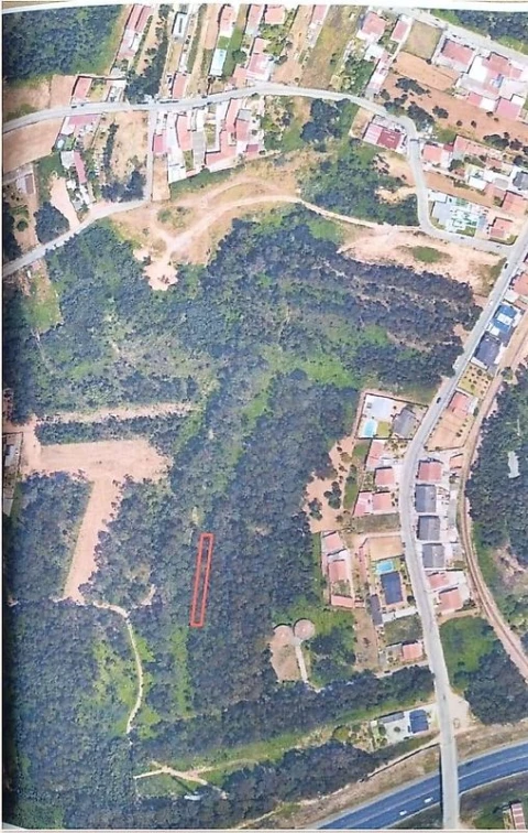 Terreno para Venda em Espinho