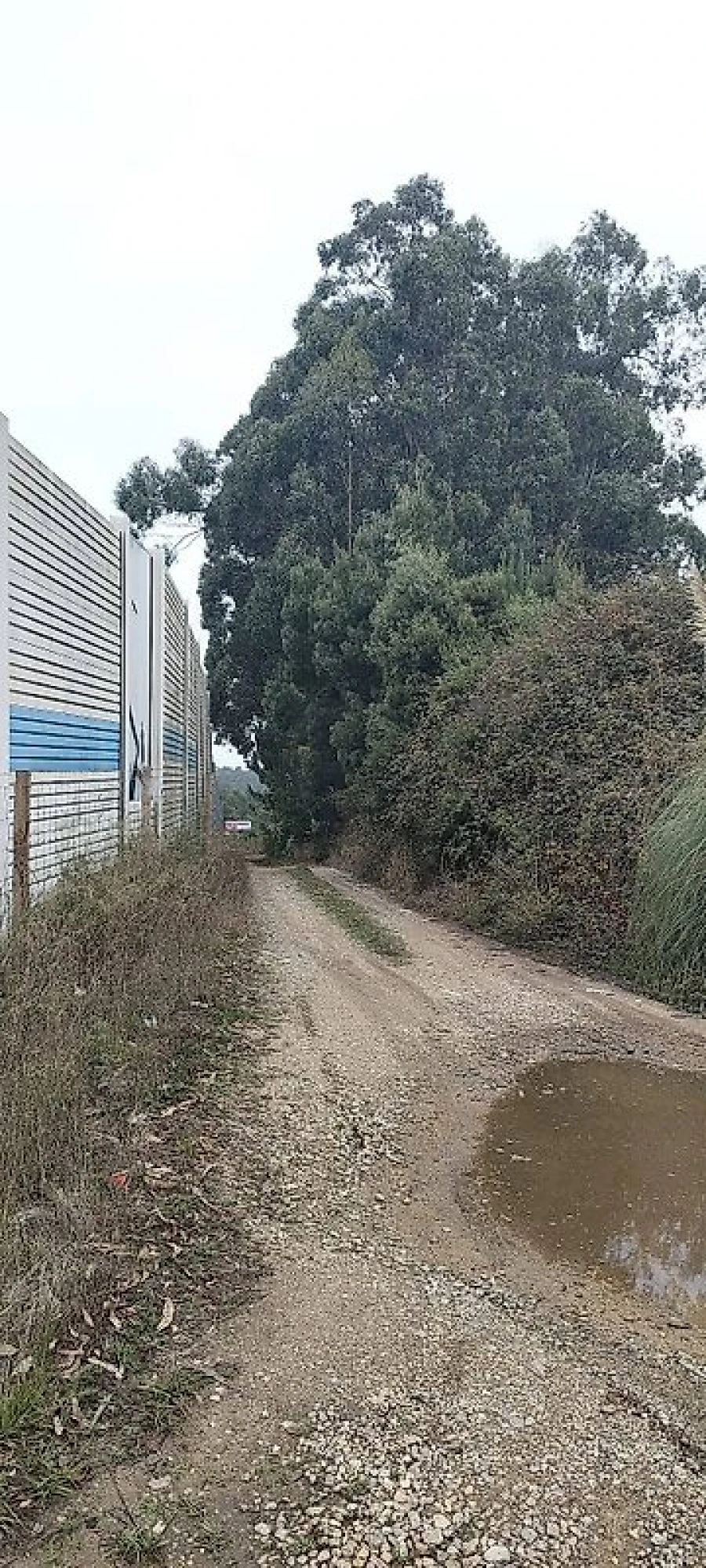 Terreno para Venda em Espinho Foto 3