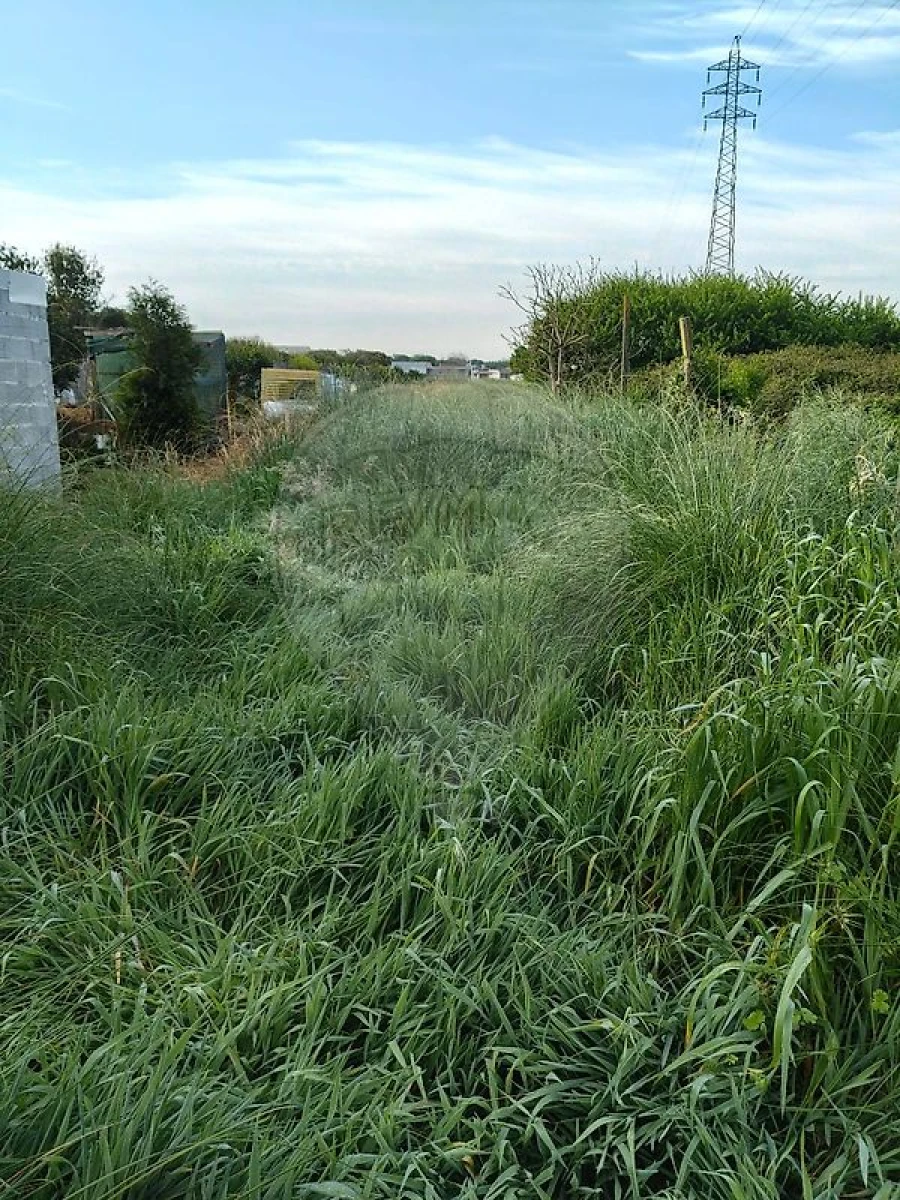 Moradia T1 para Venda em Espinho Foto 13