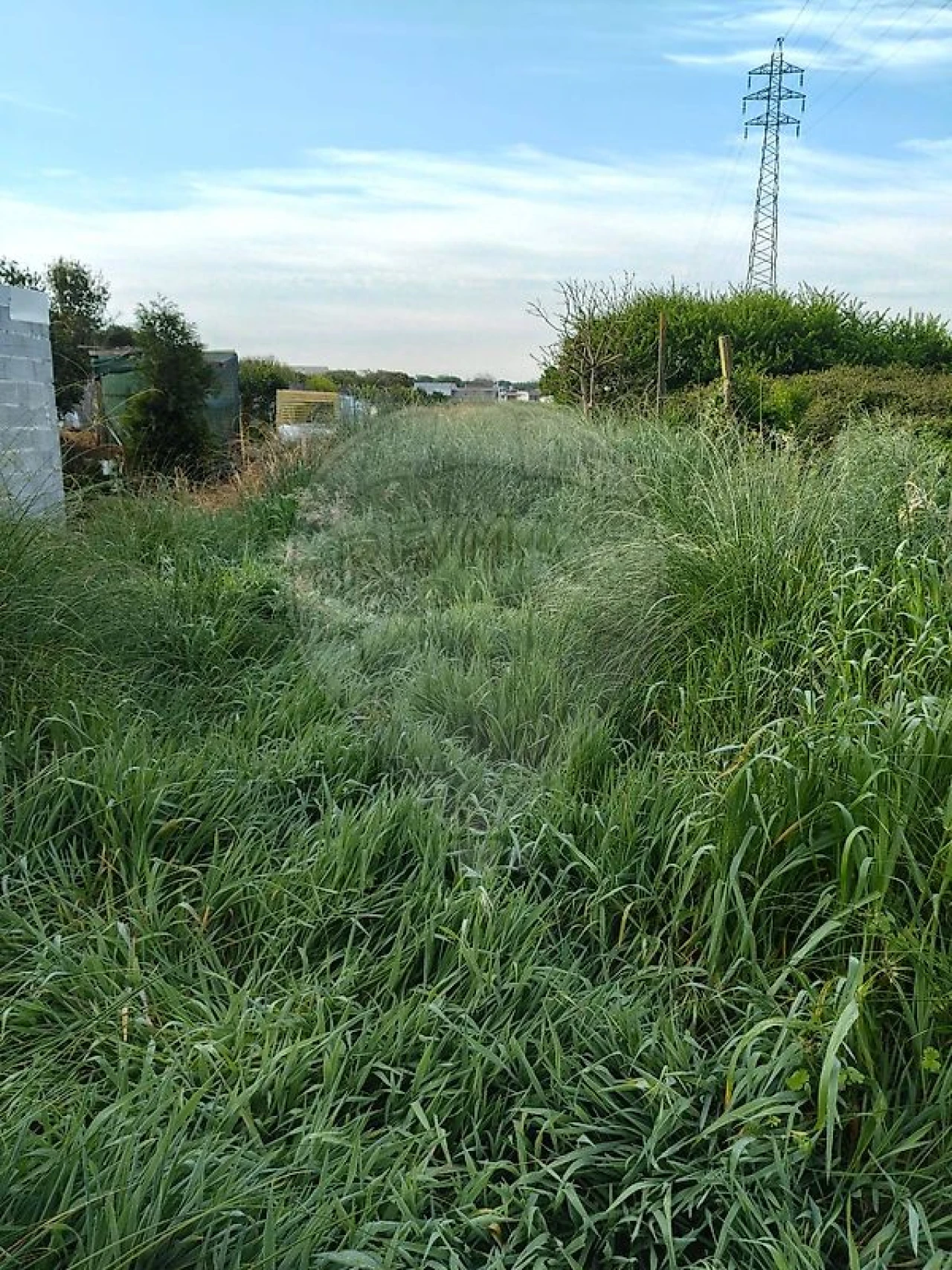 Moradia T1 para Venda em Espinho Foto 13