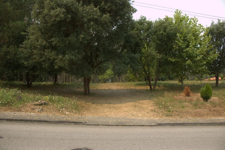 Terreno para Venda em Argoncilhe Foto 6