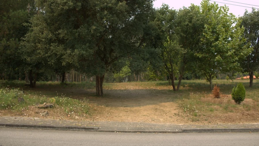 Terreno para Venda em Argoncilhe