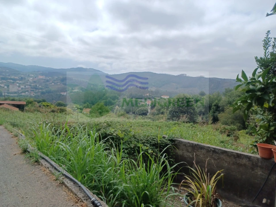 Terreno para Venda em Pessegueiro do Vouga Foto 2