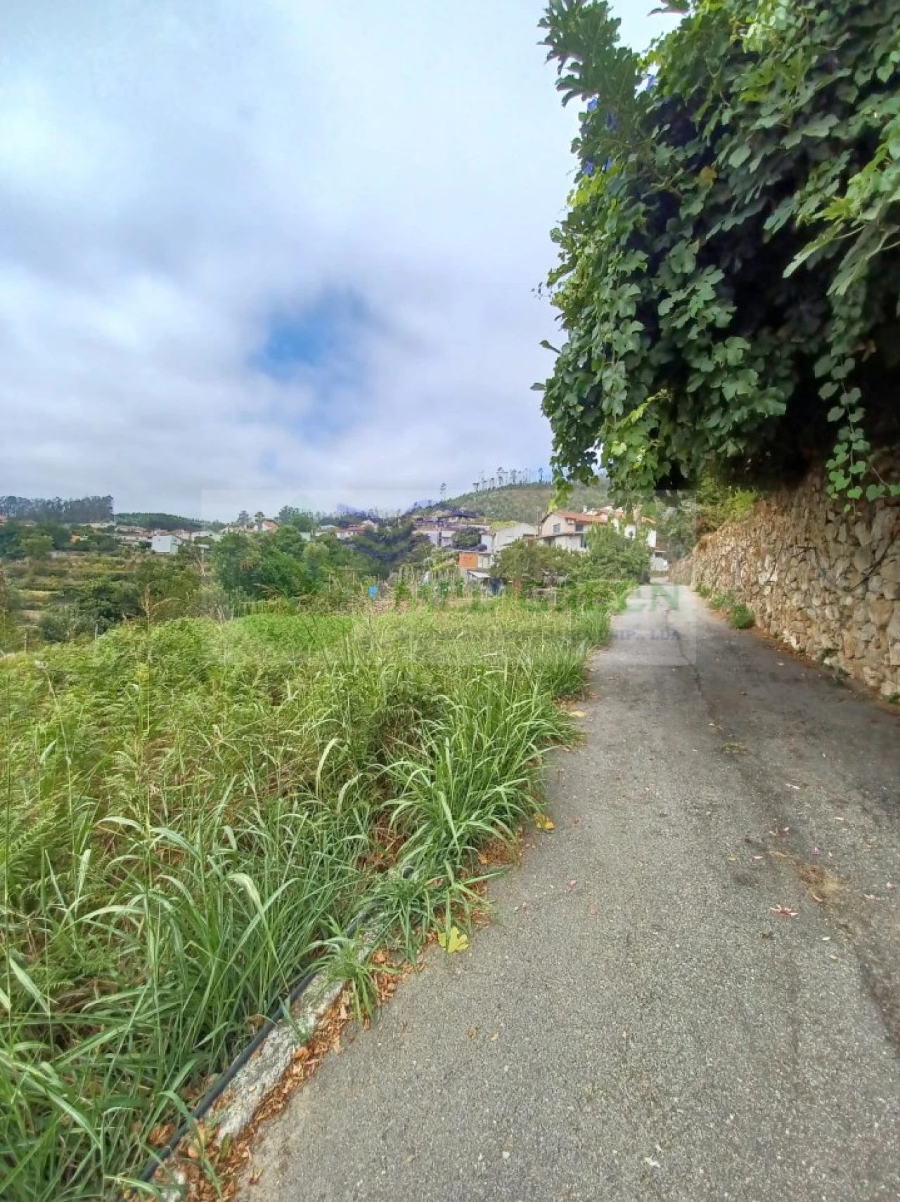 Terreno para Venda em Pessegueiro do Vouga Foto 4
