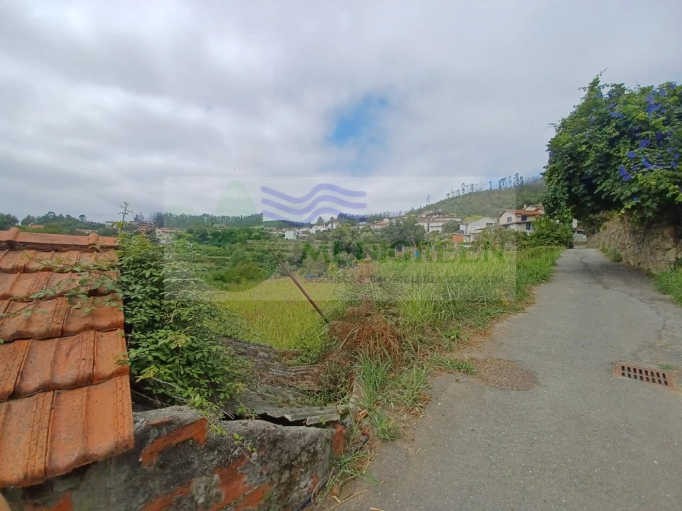 Terreno para Venda em Pessegueiro do Vouga Foto 5