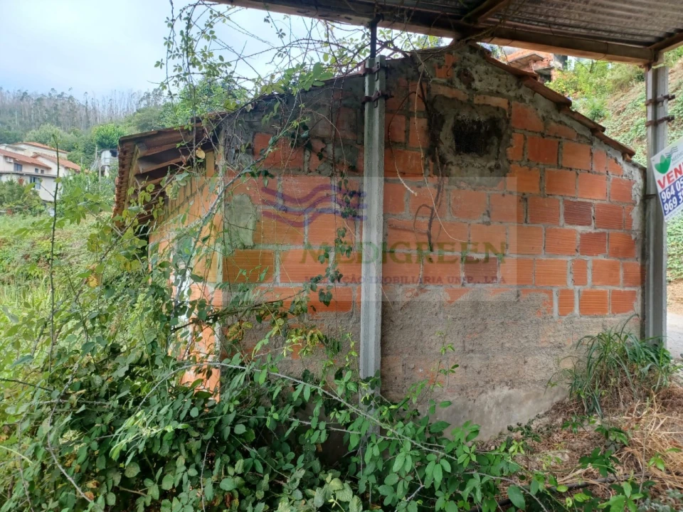 Terreno para Venda em Pessegueiro do Vouga Foto 10