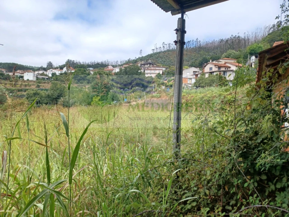 Terreno para Venda em Pessegueiro do Vouga Foto 11