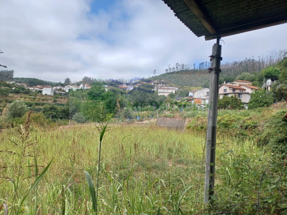 Terreno para Venda em Pessegueiro do Vouga Foto 12