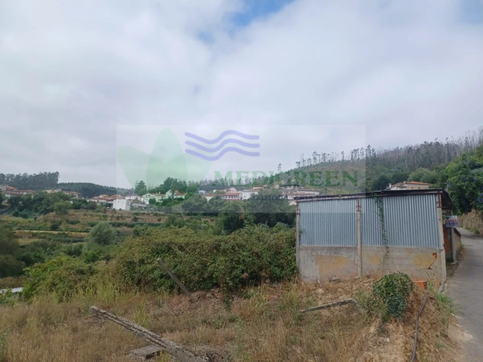 Terreno para Venda em Pessegueiro do Vouga Foto 13