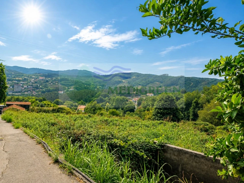 Terreno para Venda em Pessegueiro do Vouga Foto 1