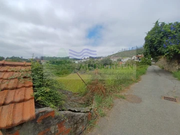 Terreno para Venda em Pessegueiro do Vouga