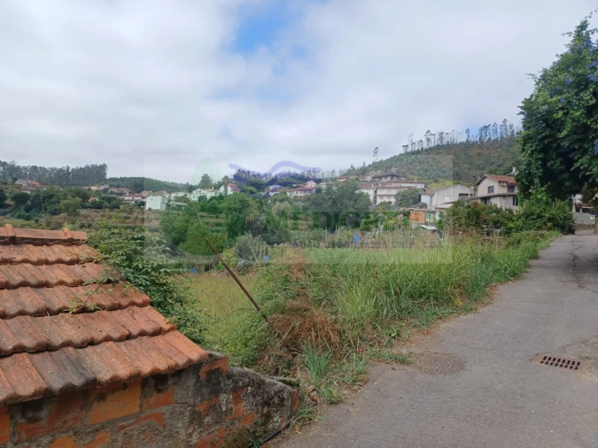 Terreno para Venda em Pessegueiro do Vouga Foto 6