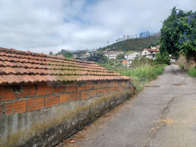 Terreno para Venda em Pessegueiro do Vouga Foto 7