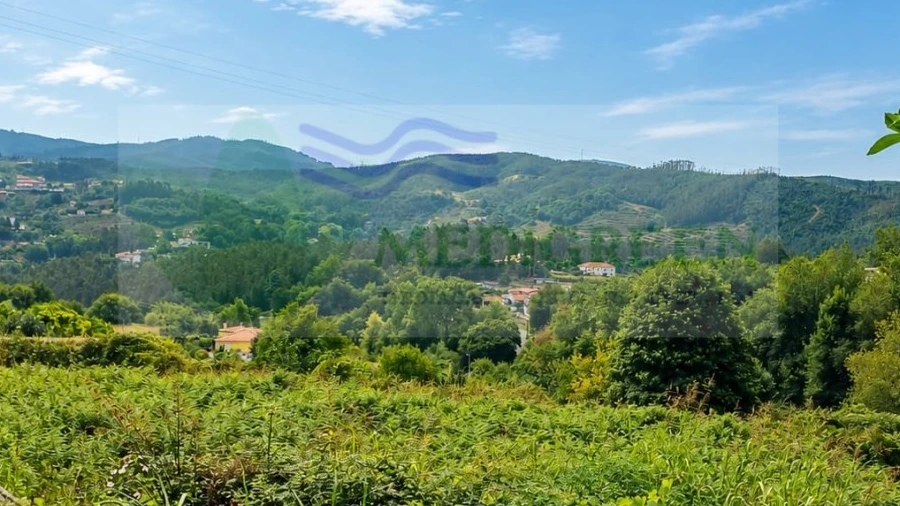 Terreno para Venda em Pessegueiro do Vouga