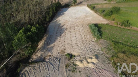 Terreno para Venda em Souto da Carpalhosa e Ortigosa
