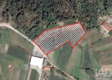 Terreno para Venda em Souto da Carpalhosa e Ortigosa
