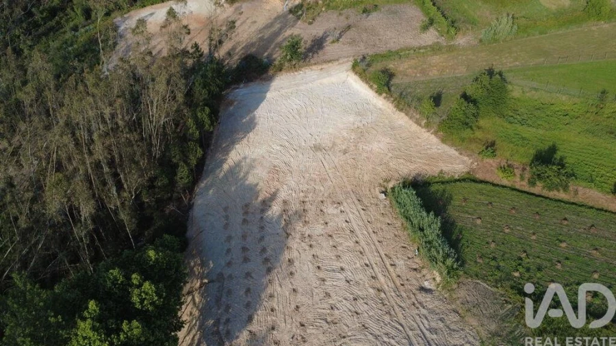 Terreno para Venda em Souto da Carpalhosa e Ortigosa Foto 8