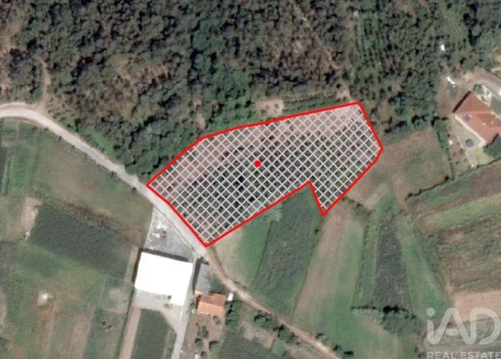 Terreno para Venda em Souto da Carpalhosa e Ortigosa Foto 2