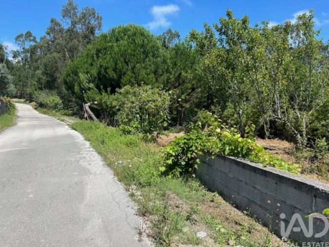 Terreno para Venda em Souto da Carpalhosa e Ortigosa Foto 10