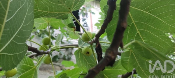 Moradia para Venda em Moledo