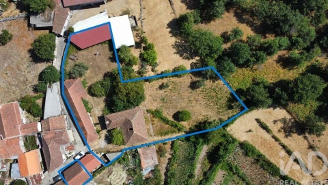 Moradia T3 para Venda em Moledo