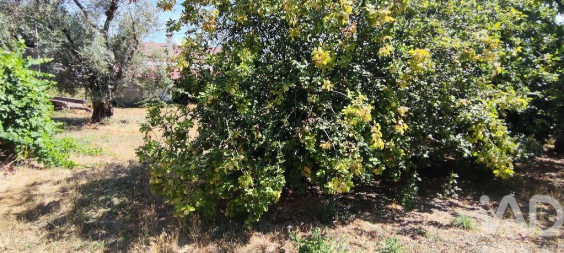 Moradia para Venda em Moledo Foto 39