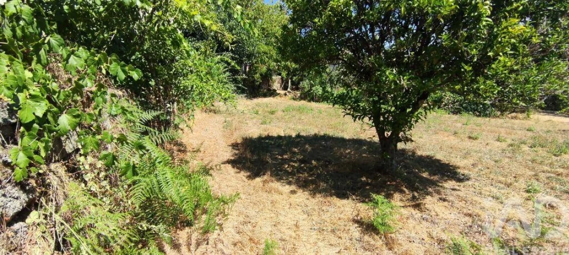 Moradia para Venda em Moledo Foto 5