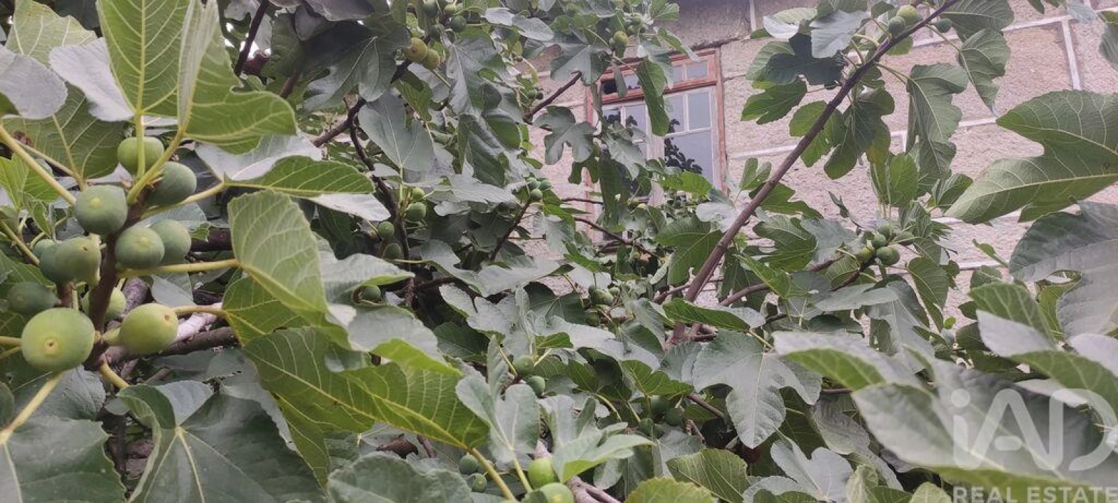 Moradia para Venda em Moledo Foto 17