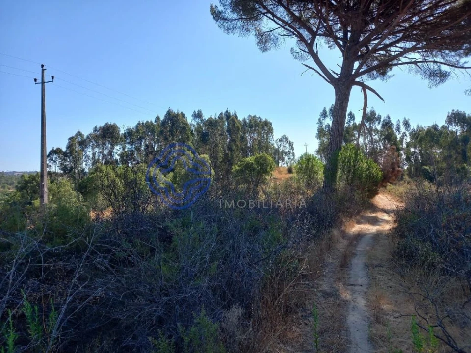 Terreno para Venda em São Pedro de Tomar Foto 25