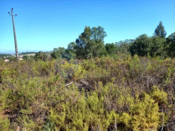 Terreno para Venda em São Pedro de Tomar