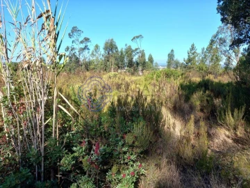 Terreno para Venda em São Pedro de Tomar