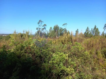 Terreno para Venda em São Pedro de Tomar