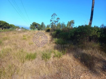 Terreno para Venda em São Pedro de Tomar