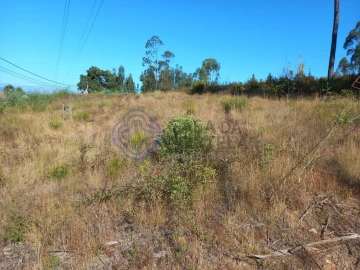 Terreno para Venda em São Pedro de Tomar
