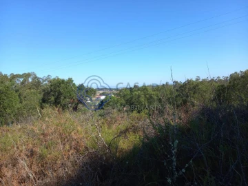 Terreno para Venda em São Pedro de Tomar