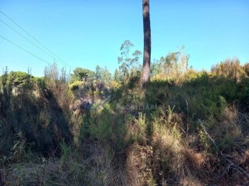 Terreno para Venda em São Pedro de Tomar