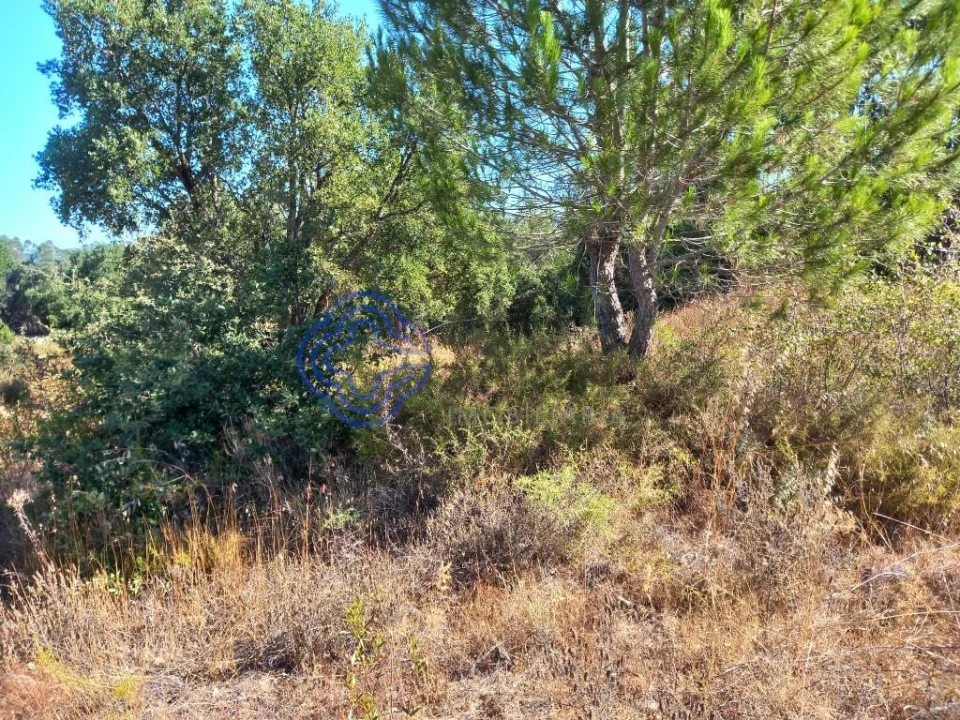 Terreno para Venda em São Pedro de Tomar Foto 22