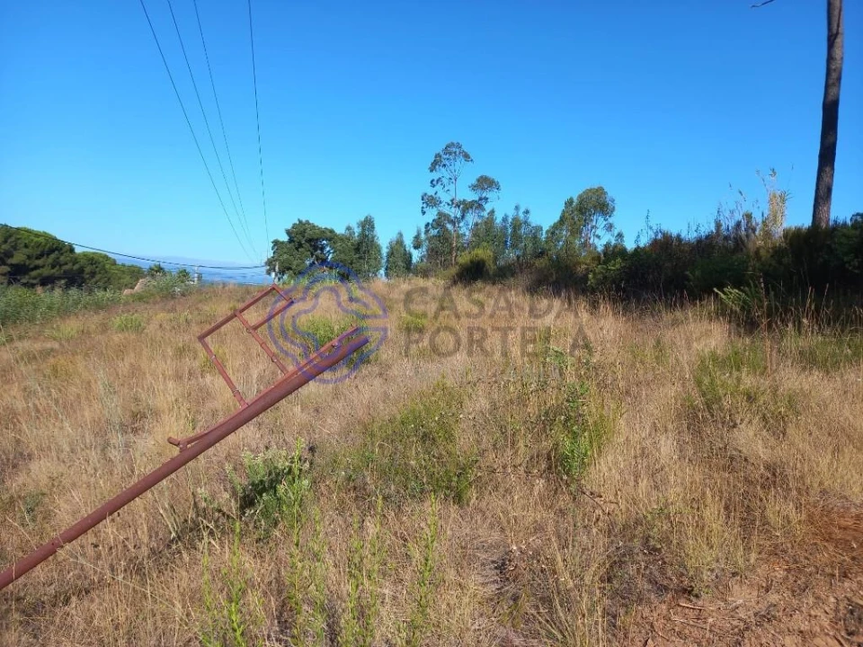 Terreno para Venda em São Pedro de Tomar Foto 5