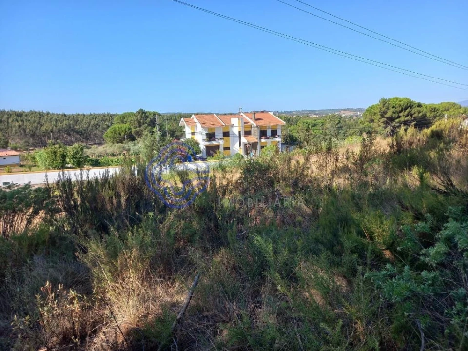 Terreno para Venda em São Pedro de Tomar Foto 6