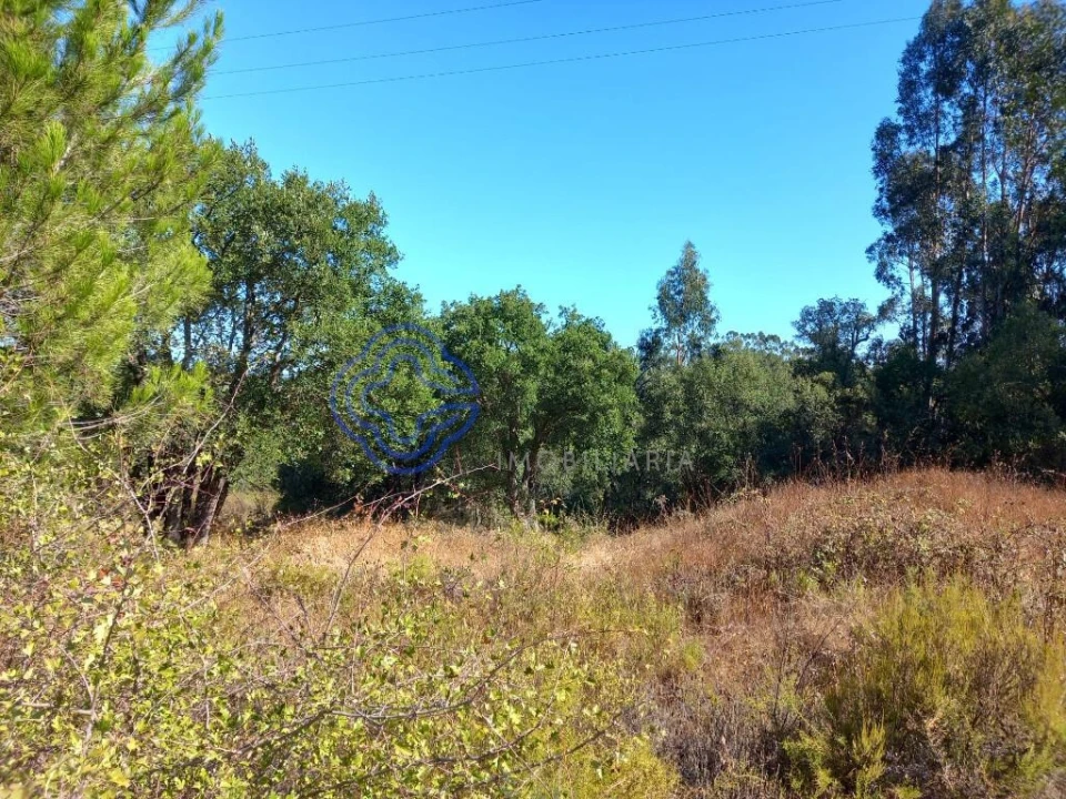 Terreno para Venda em São Pedro de Tomar Foto 21